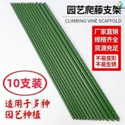。家用菜园爬藤架耐用花架大棚瓜果骨架防倒丝瓜支撑杆支架杆塑料