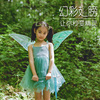 六一儿童幻彩蝴蝶奇妙仙子，精灵翅膀天使，透明大人维密翅膀演出道具