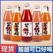 网红饮料健康果汁好望山楂气泡水果汁柠檬望杏福望梅好300ML