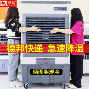 工厂车间骆驼大型工业冷风机商用制冷风扇饭店加水冷空调扇养殖场