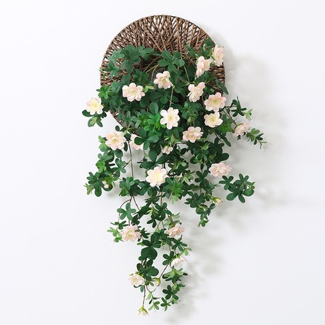 挂花藤