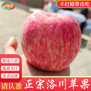 正宗陕西洛川苹果水果，新鲜应季整箱红富士冰，糖心一级脆甜十斤