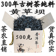 云南普洱茶生茶散茶乔木古树茶，黄草坝纯料2020年明前头春茶农