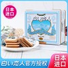 白色恋人巧克力夹心饼干36枚铁盒日本进口小零食送女友情人节礼盒