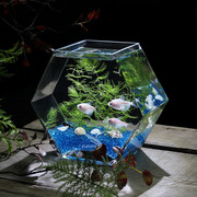 美人鱼缸斗鱼缸大号玻璃鱼缸高透亮(高透亮)桌面鱼缸办公室，创意金鱼缸(金鱼缸)花瓶