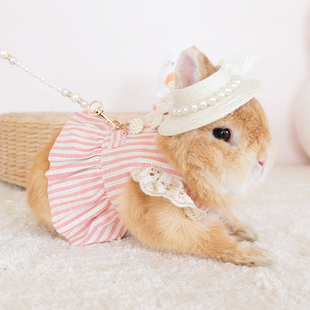 兔兔衣服宫廷风可爱条纹公主，裙外装时尚，装扮牵引绳服饰带帽子兔子
