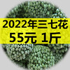 三七花云南文山2022年特级三七，花田七花三七，花茶新花四年花粉