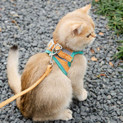 猫咪牵引绳可爱背心式胸背，防挣脱幼猫魔术，贴安全扣反光宠物遛猫绳