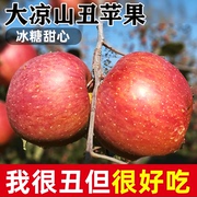 大凉山丑苹果10斤冰糖心，苹果新鲜当季水果盐源红富士平安果整箱