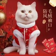 中国风东北大红棉衣泰迪比熊，小型幼犬狗狗秋冬装宠物猫咪衣服