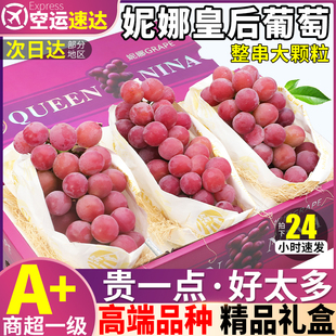 空运礼盒5斤妮娜皇后葡萄，新鲜水果当季孕妇，无籽红提脆甜整箱