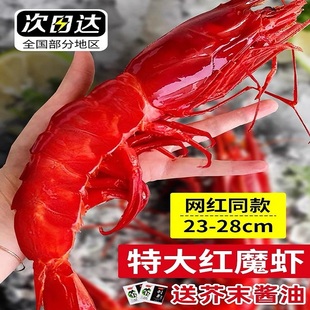 红魔虾超大鲜活刺身级，生吃低温甜虾活虾速冻寿司刺身非西班牙海鲜