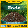 营养土养花专用土壤进口泥炭土家用种菜多肉盆栽植物种植土通用型