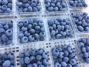 新鲜蓝莓水果蓝莓鲜果，蓝莓之乡东北特产大果125gx8盒2斤
