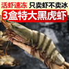 黑虎虾新鲜超大大虾鲜活速冻，老虎虾特大九节虾斑节基围虾海鲜水产