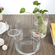 水培郁金香桌面玻璃花瓶容器绿萝简约花盆圆柱形鱼缸水养小号器皿