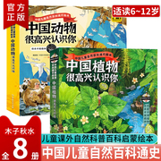 正版 中国植物+中国动物很高兴认识你全套8册 中国儿童自然百科通识 5-12岁儿童自然科普绘本 动植物图鉴书 国家地理知识百科全书