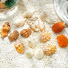 天然海螺贝壳珊瑚沙水族箱鱼缸造景装饰套装地中海工艺品创意摆件