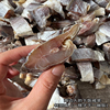 新晒咸鱼块鱼肉白梅鱼鲞带头梅子海鲜干货小鱼干，东海温州去内脏