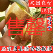 陕西眉县徐香猕猴桃，大果新鲜现摘绿心时令水果，孕妇奇异果整箱