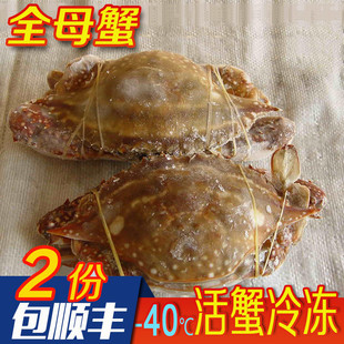 舟山海鲜野生红膏蟹冻梭子蟹品，冰鲜冷冻全母红膏螃蟹冻蟹2斤3-4只