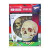 4dmaster头骨骷髅模型儿童，益智玩具塑料拼装积木幼儿园科学教具