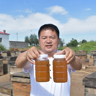 陕北枣花蜜红枣花蜂蜜，纯正天然农家自产百花蜜野生成熟土蜂蜜2斤