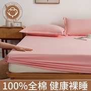 纯棉床笠单件全棉床罩席梦思，床垫保护套防尘床单全包床套四季通用