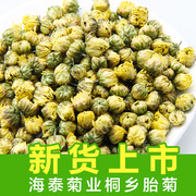 新货桐乡胎菊花茶散装杭白菊花果茶菊花 胎菊散装