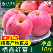 烟台苹果水果新鲜山东栖霞红富士整箱脆甜农家，当季80果10斤