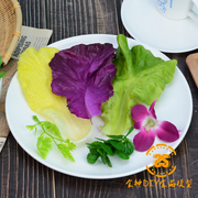 仿真蔬菜模型 生菜白菜薄荷叶紫甘蓝假植物配件DIY摄影道具装饰品