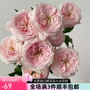 梦金鹏鲜花速递进口种苗，tsumugi绵绸玫瑰花家用鲜切花10支