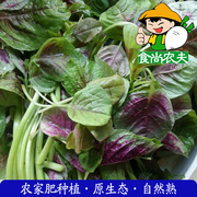 农家红苋菜 有机肥生态种植新鲜蔬菜配送500克 广东满88元