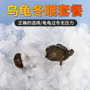 吸水树脂乌龟冬眠用品，高分子保水剂爬宠孵化盒养龟过冬保温材料