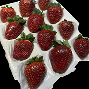 黑美人日本黑珍珠黑草莓，新鲜水果现摘整箱空运