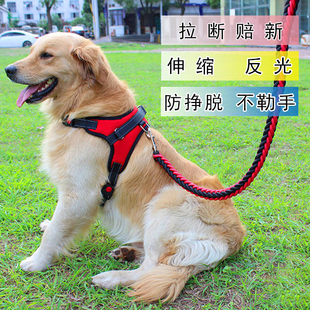 狗牵引绳夏天大型犬可伸缩背心式狗绳中型项圈马犬背带狗链牵引带