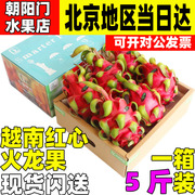 5斤礼盒装越南红心火龙果进口红肉新鲜水果孕妇辅食送礼