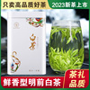 白茶安吉特级2023年新茶，礼盒装珍稀口粮绿茶，250g雨前散装正宗茶叶