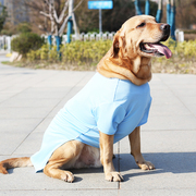 大狗狗衣服夏天薄款防掉毛金毛拉布拉多萨摩耶中型大型犬夏季背心