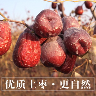 西北小院新疆红枣吊干带土大枣即食，六星和田玉枣5斤