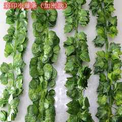 仿真绿植绿萝叶装饰藤条假树叶藤蔓管道缠绕假花藤吊顶爬山虎