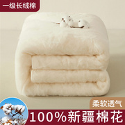 被子被芯春秋被棉花被床上用品单人双人四季通用被子纯棉花空调被