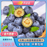 云南蓝莓香甜美味