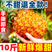 正宗超甜海南金钻凤梨10斤特级应当季新鲜水果香水菠萝手撕甜凤梨