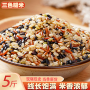 三色糙米5斤新货五谷杂粮红米黑米，粗粮主食饱腹胚芽大米混合粥料