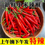 小米椒5斤红辣椒新鲜现摘特辣小米辣椒，朝天椒农家土蔬菜鲜叶菜类