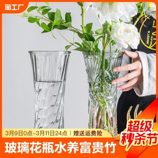 特大号玻璃花瓶透明水养富贵竹客厅家用插花瓶摆件卧室家居玄关