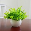 仿真花绿植物摆件小盆栽家居客厅室内摆设桌面装饰迷你假花草米兰