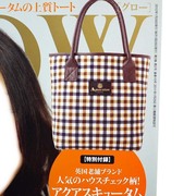 日本旅行杂志款收纳素雅袋手提包英伦格子，学院风女士袋可批