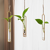 北欧装饰水培玻璃容器花瓶客厅创意吊门饰壁绿萝植物水养透明花盆